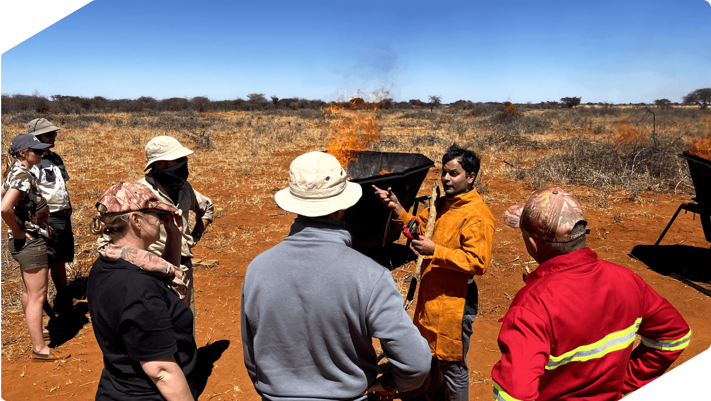 What Buyers Need to Know About Carbon Removal Standards