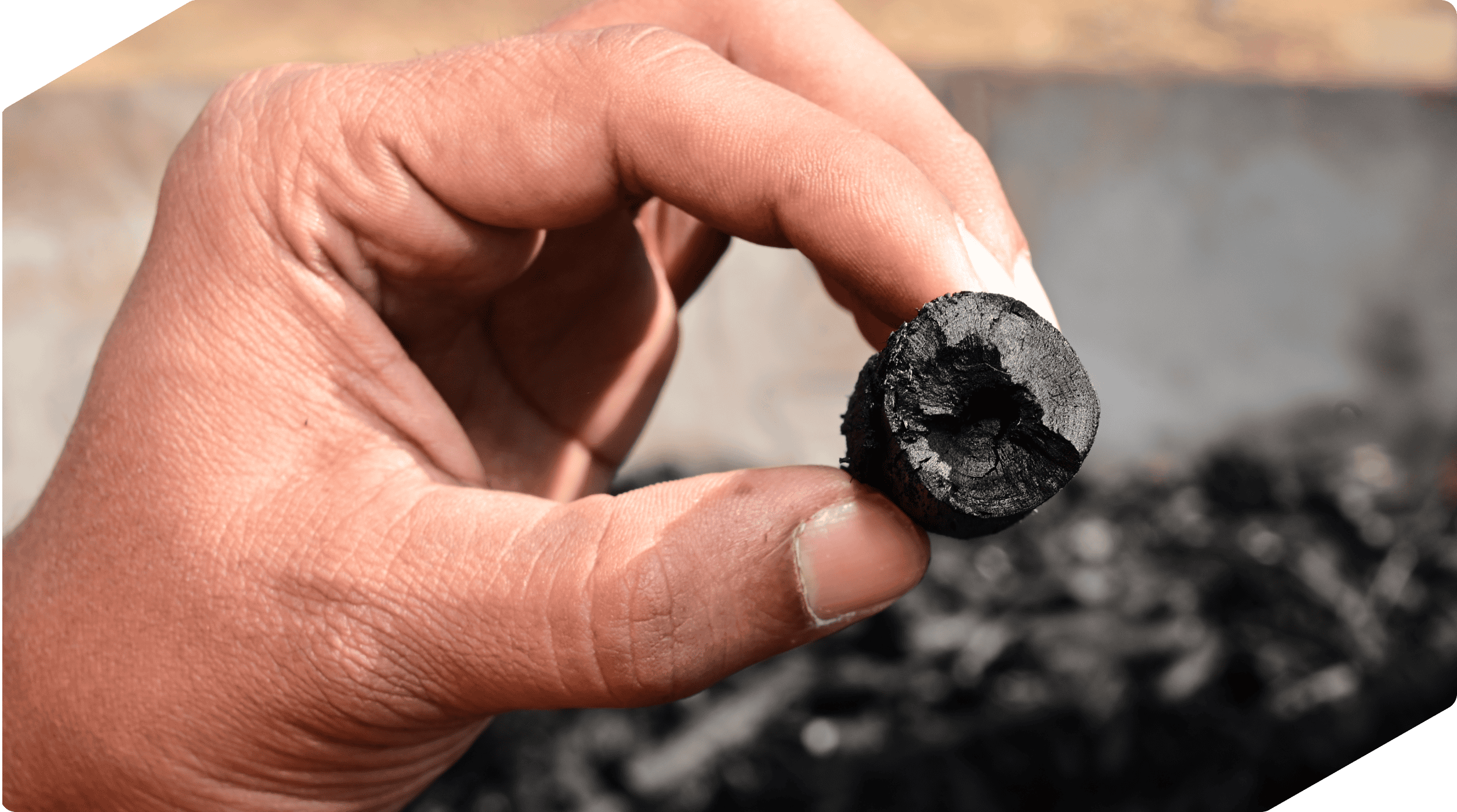 Why the Future of Carbon Credits Depends on Quality, Not Quantity