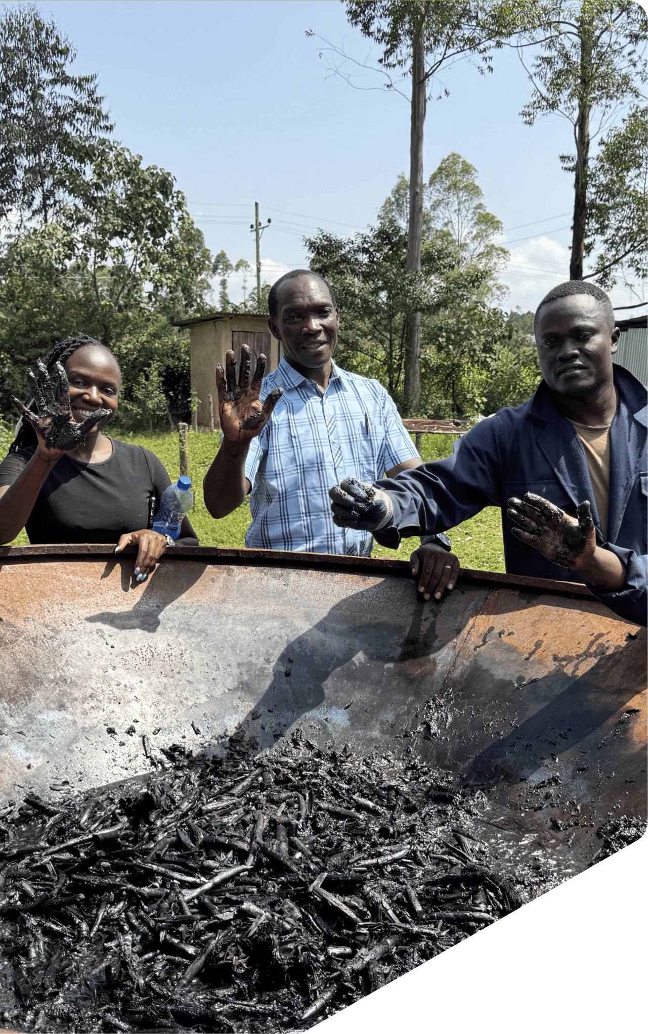 Illustration of a farm with green fields