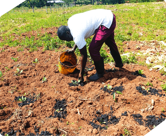 Farmers at the Heart of Carbon Removal